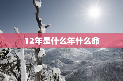 12年是什么年什么命