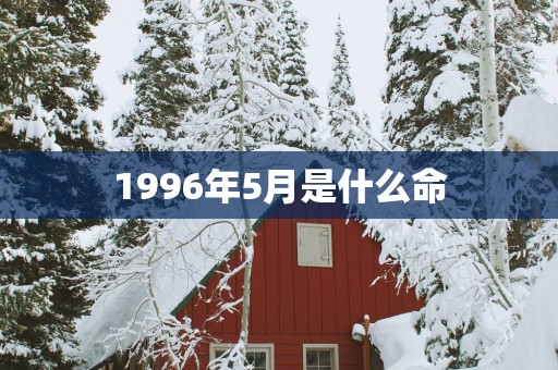 1996年5月是什么命
