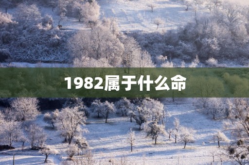 1982属于什么命