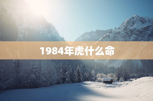 1984年虎什么命