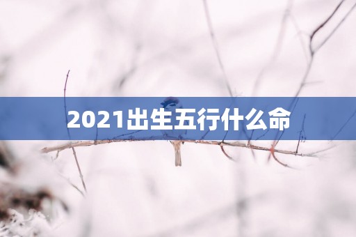 2025出生五行什么命