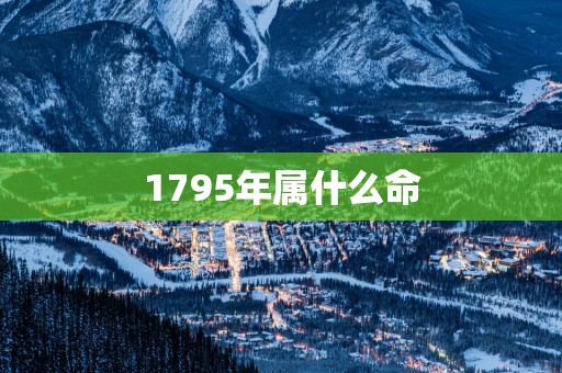 1795年属什么命