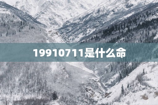 19910711是什么命