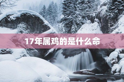 17年属鸡的是什么命