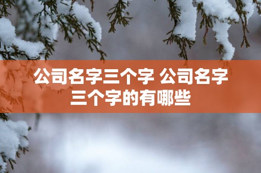 公司名字三个字 公司名字三个字的有哪些