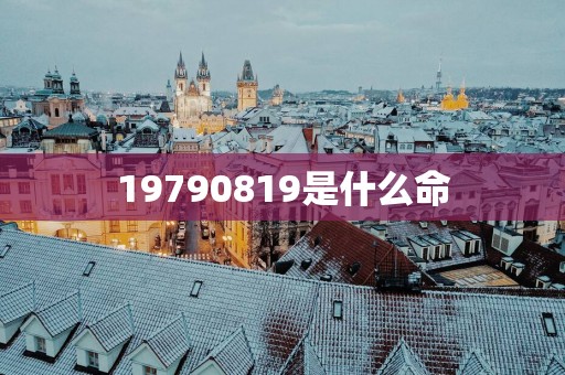 19790819是什么命