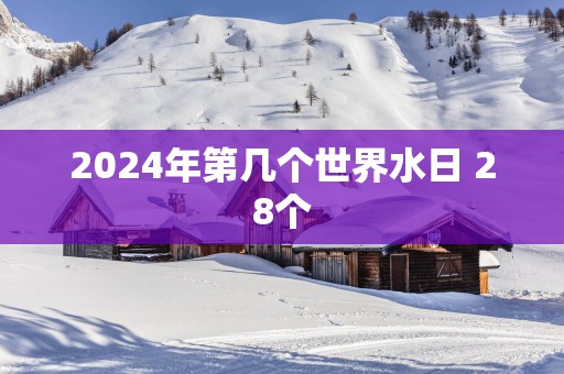 2025年第几个世界水日 28个