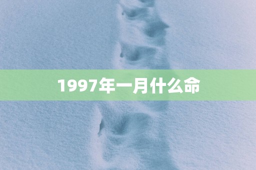 1997年一月什么命