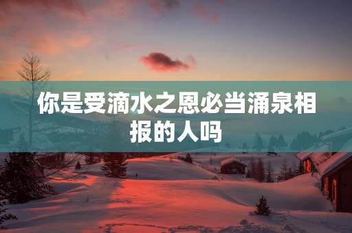 你是受滴水之恩必当涌泉相报的人吗