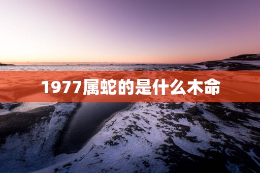 1977属蛇的是什么木命