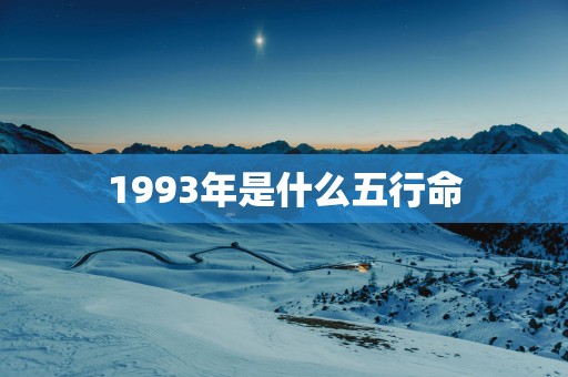 1993年是什么五行命