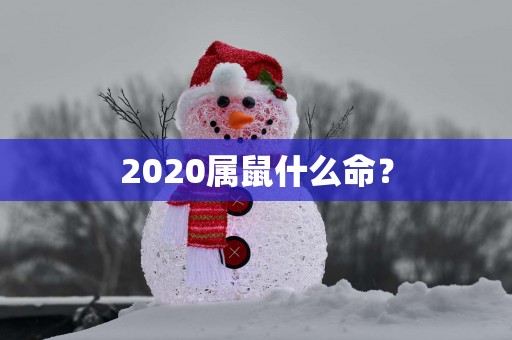2025属鼠什么命？