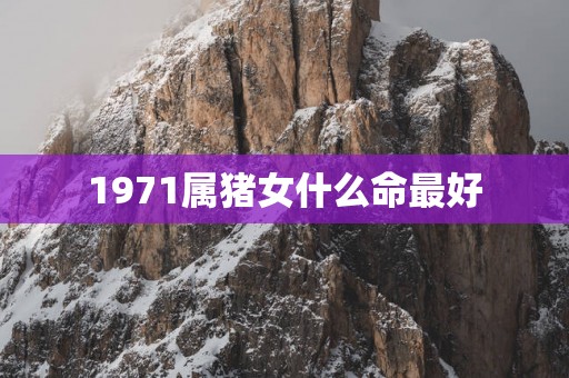 1971属猪女什么命最好