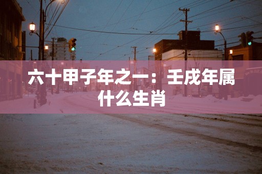 六十甲子年之一：壬戌年属什么生肖