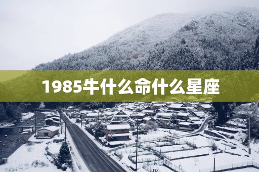 1985牛什么命什么星座