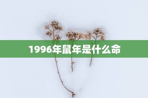 1996年蛇年是什么命