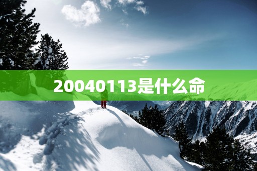 20040113是什么命