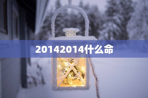 20142014什么命