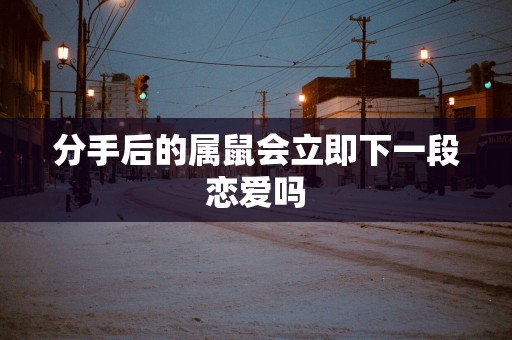 分手后的属鼠会立即下一段恋爱吗