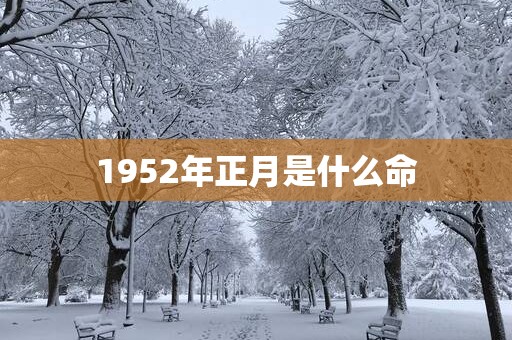 1952年正月是什么命