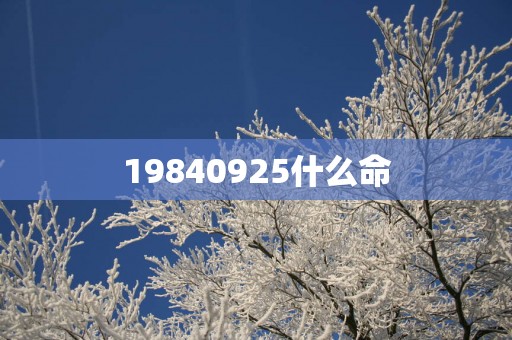 19840925什么命