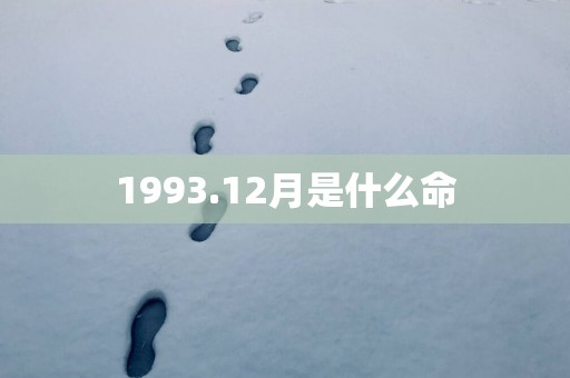 1993.12月是什么命