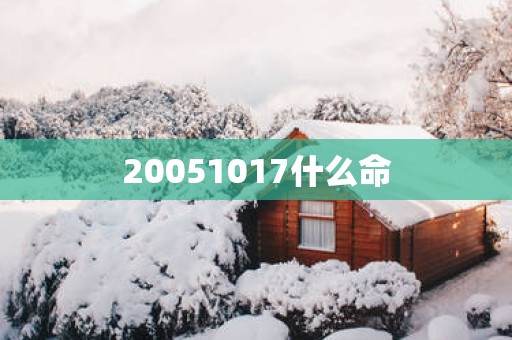 20051017什么命