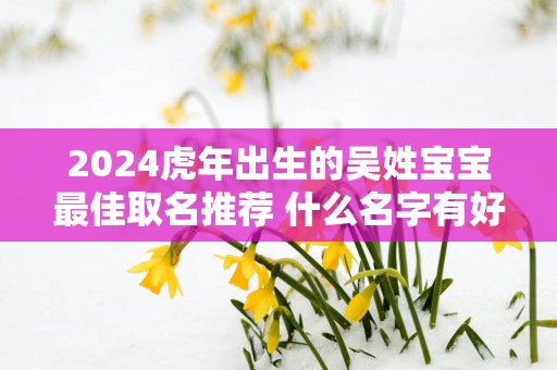2025蛇年出生的吴姓宝宝最佳取名推荐 什么名字有好运势
