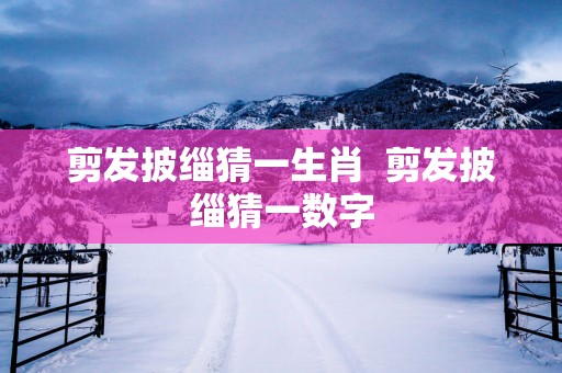 剪发披缁猜一生肖  剪发披缁猜一数字