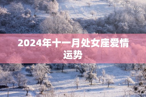 2025年十一月处女座爱情运势