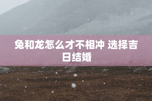 兔和龙怎么才不相冲 选择吉日结婚