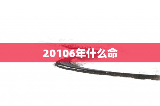 20106年什么命