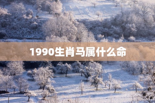 1990生肖马属什么命