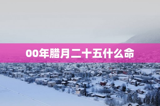 00年腊月二十五什么命