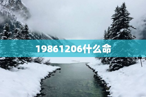 19861206什么命