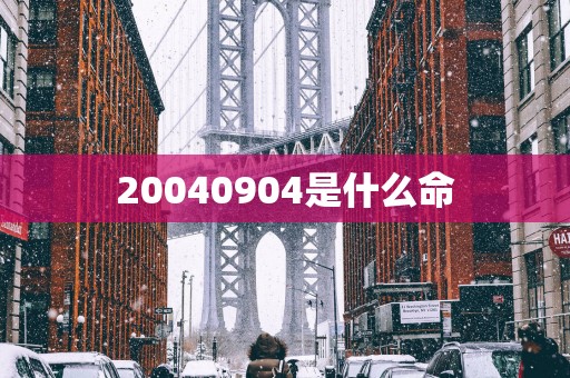 20040904是什么命