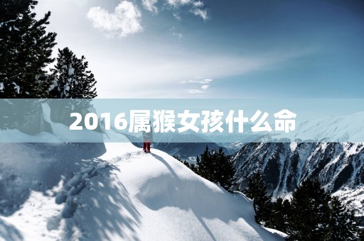 2016属猴女孩什么命