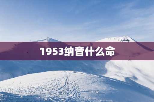 1953纳音什么命