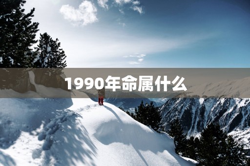 1990年命属什么