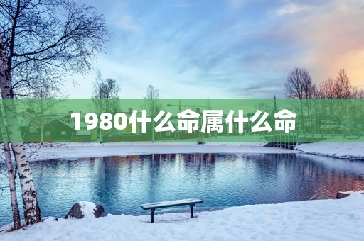 1980什么命属什么命