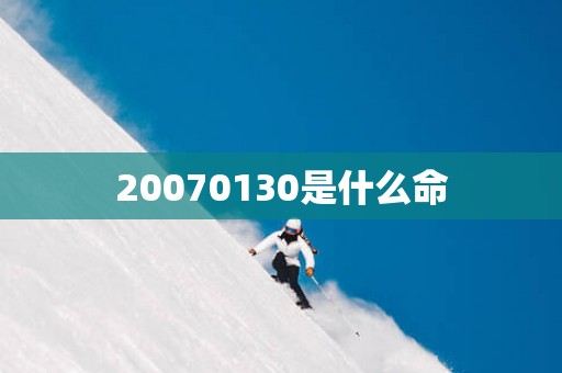 20070130是什么命