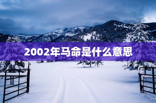 2002年马命是什么意思