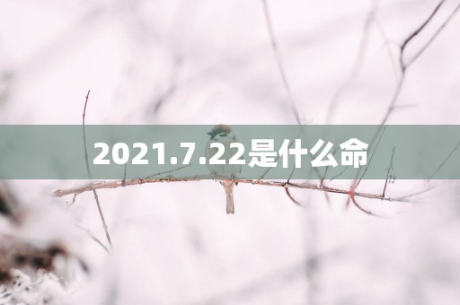 2025.7.22是什么命