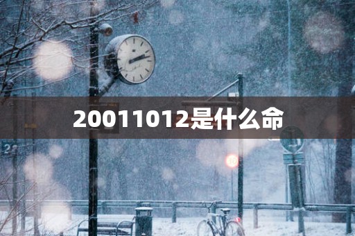 20011012是什么命