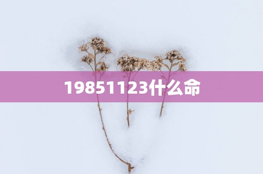 19851123什么命