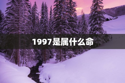 1997是属什么命