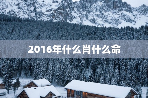 2016年什么肖什么命