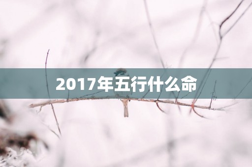 2017年五行什么命