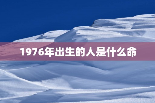 1976年出生的人是什么命