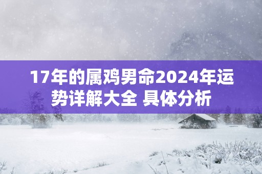 17年的属鸡男命2025年运势详解大全 具体分析
